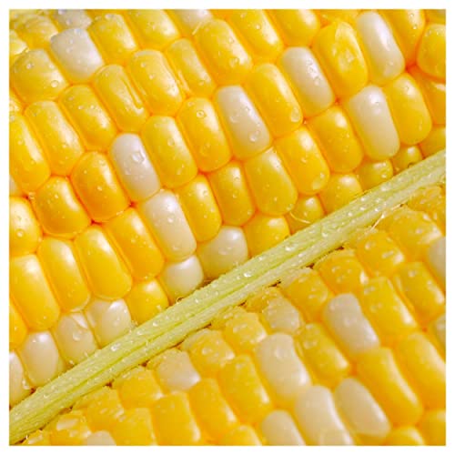 Everwilde Farms 1/4 Lb Serendipity Hybrid Sweet Corn Seeds for Home Gardeners
| Everwilde Farms 1/4 Lb Serendipity Hybr