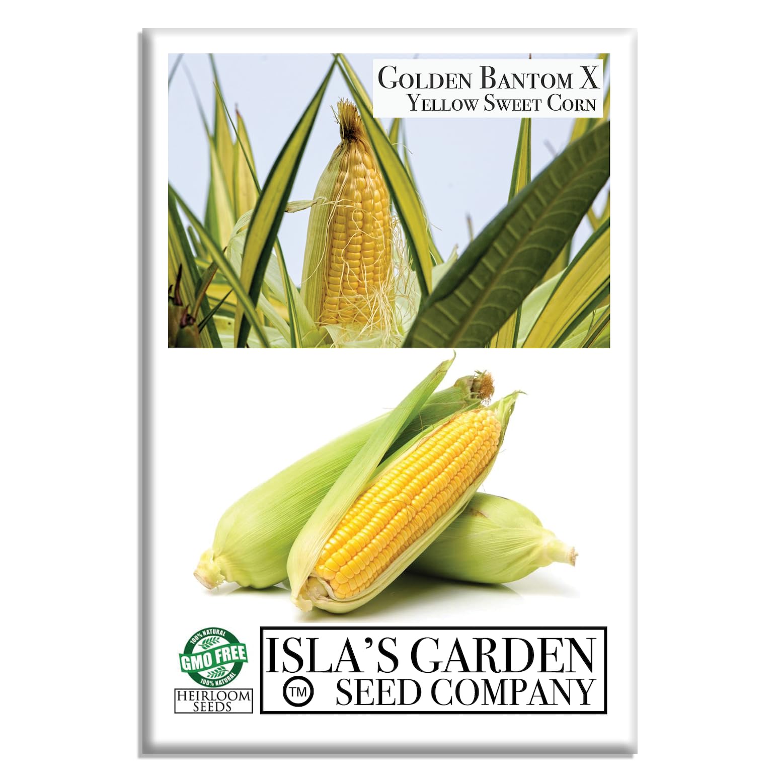 Isla's Garden Seeds Golden X Bantam Corn Seeds - Non-GMO Sweet & Tender Kernels, High-Yield Variety, Perfect for Home Ga