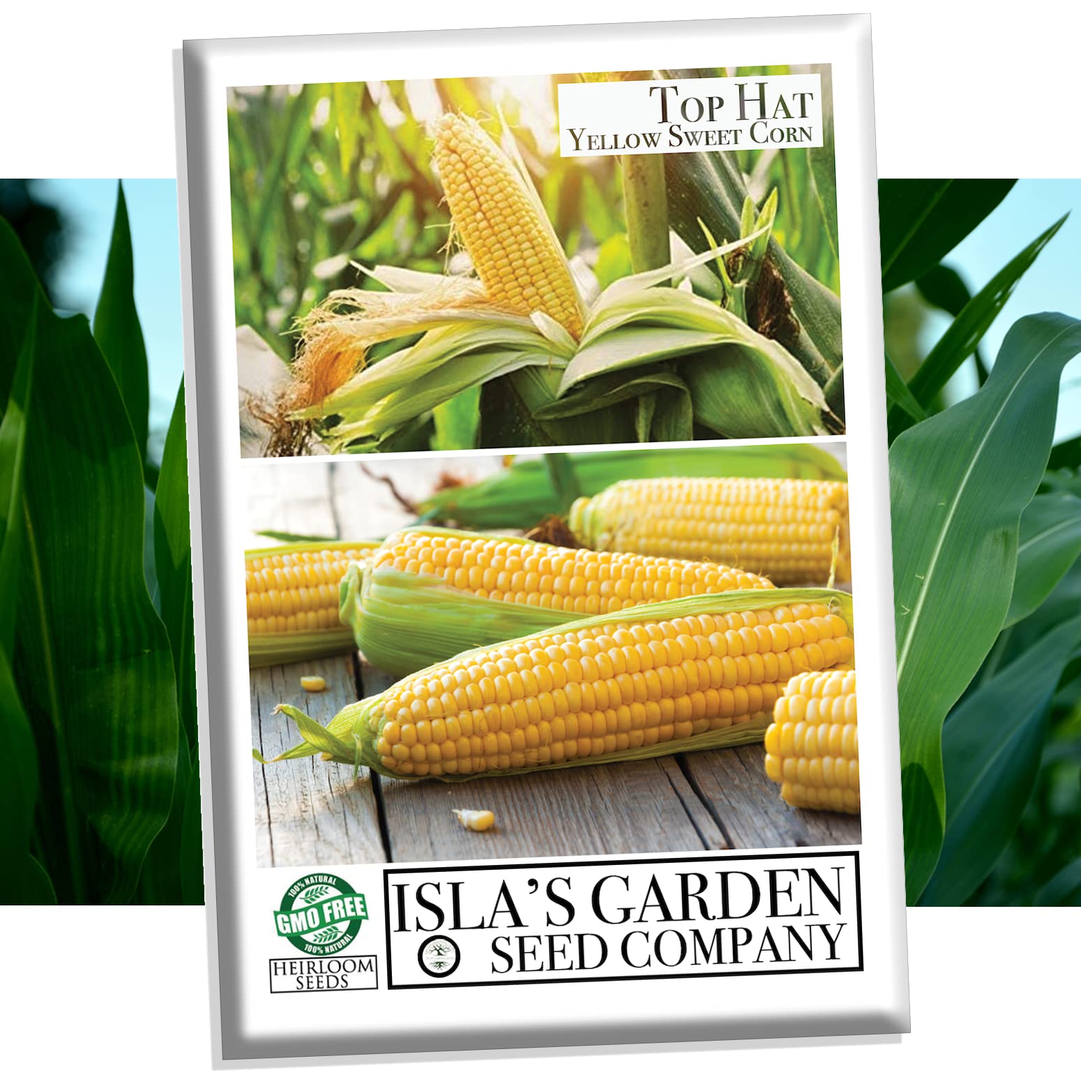 Isla's Garden Yellow Sweet Corn Seeds - Non GMO & Heirloom - 25+ Seeds Per Packet
| Isla's Garden Top Hat Yellow Sweet